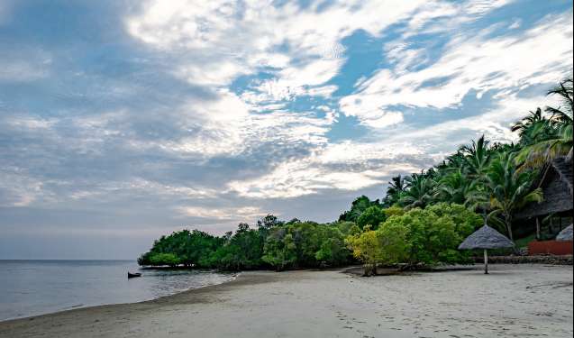 Mafia island tanzania