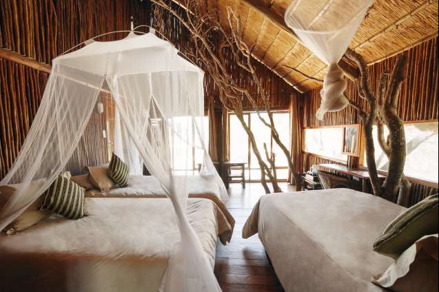 Kruger Family treehouse safari