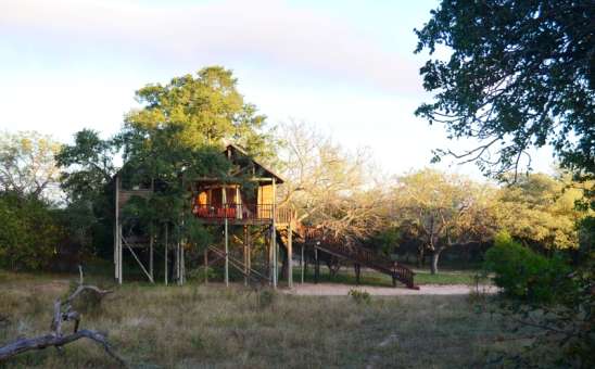 Best Kruger Treehouse Safaris in South Africa (Affordable & Unique Stays)