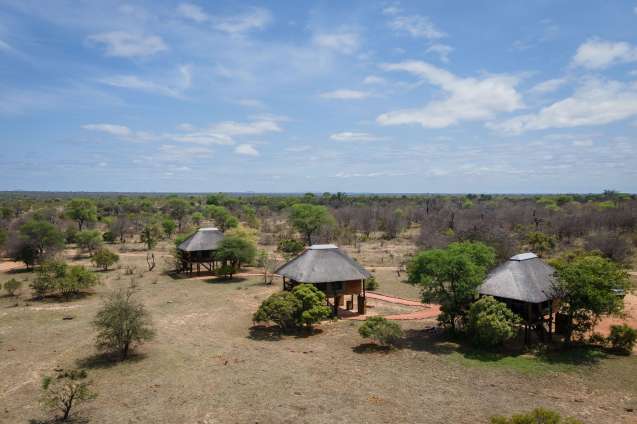 Treehouse camp in klaserie