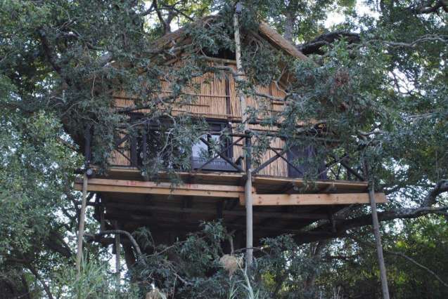 Greater Kruger Treehouse Camp