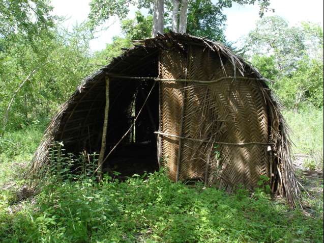 Sacred Mijikenda Kaya Forests, Kenya, UNESCO World Heritage Site