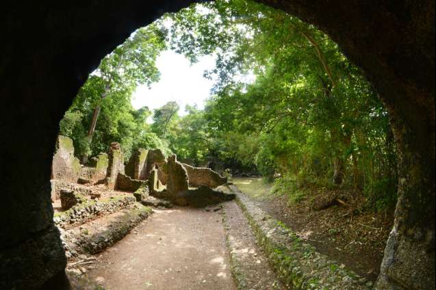 Ruins of gedi, kenya, UNESCO World Heritage Site