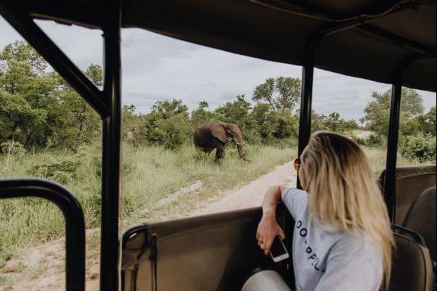 Kruger Safari in South Africa