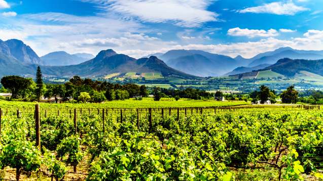 Cape winelands south africa