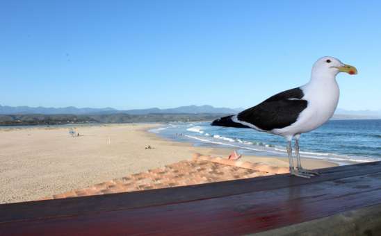 10 of The Best South African Beaches