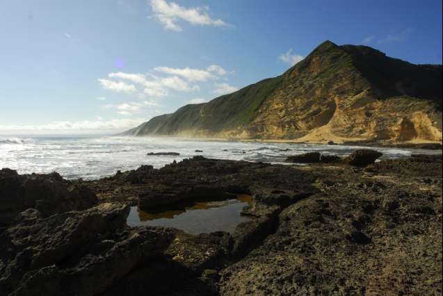 Gerickes point sedgefield on the garden route