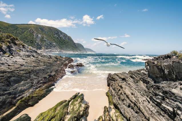Tsitsikamma on the garden route