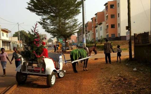 Zambia Christmas