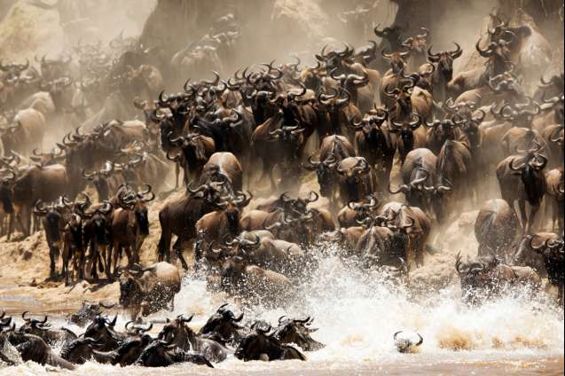 Great Migration Africa