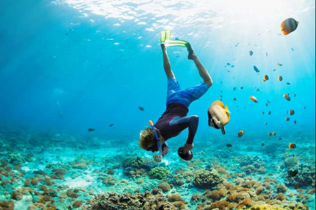 Snorkelling safari
