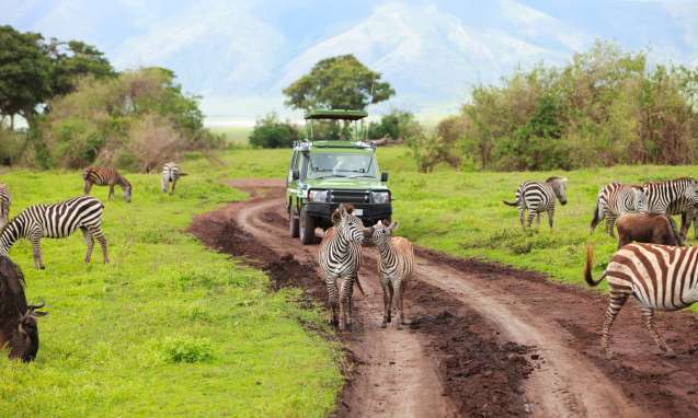 Safari vehicle in the serengeti tanzania