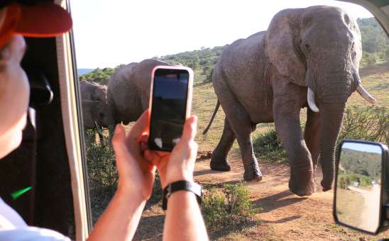 Best Safari in Africa for First-Time Visitors