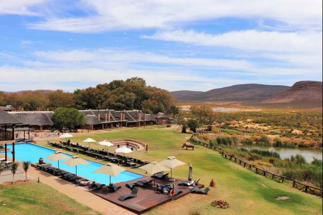 Aquila big 5 safari near Cape Town South Africa