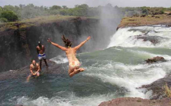 African Safari News & Travel Updates: January 2025