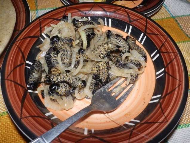 Mopane Worms