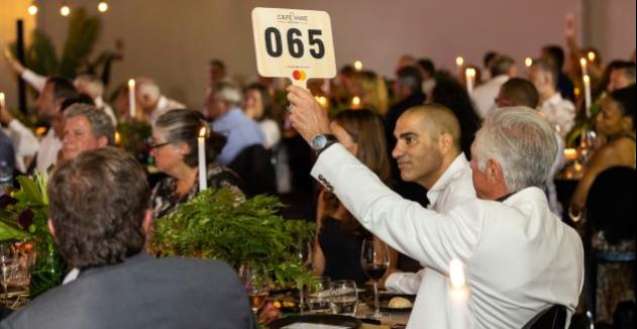 thecapewineauction.com