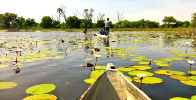 Okavango by mokoro
