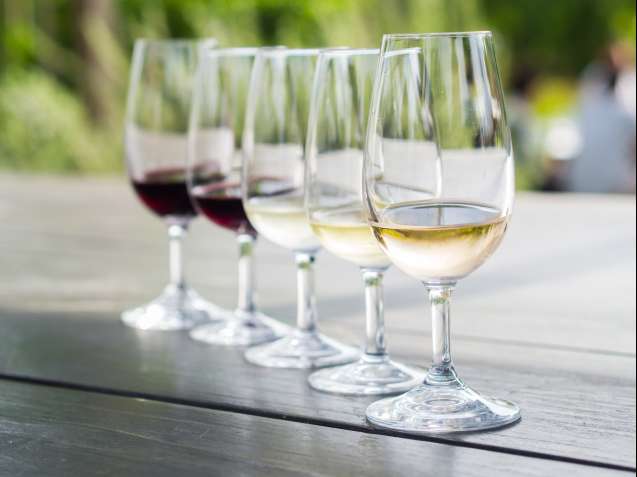 Cape winelands south africa