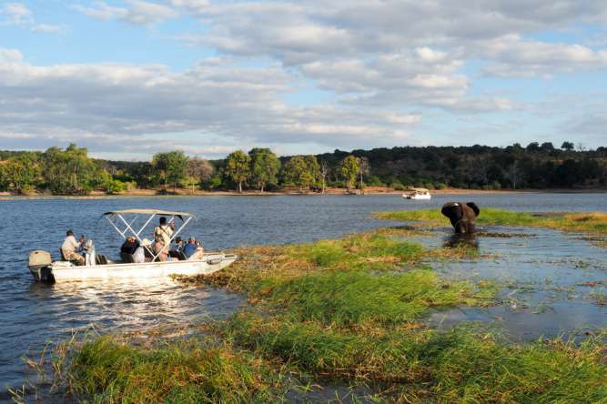Chobe, Okavango Delta & Victoria Falls Safaris