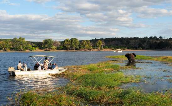 4 Affordable Botswana Safaris to Chobe, Okavango Delta & Victoria Falls in Under 10 Days!