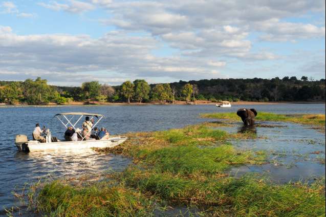 Chobe, Okavango Delta & Victoria Falls Safaris