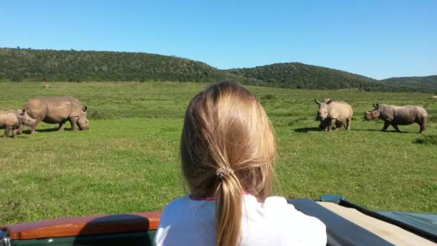 Safari in South Africa
