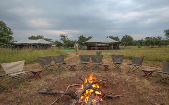 4 New Tanzania Safari Packages to the Serengeti and Beyond