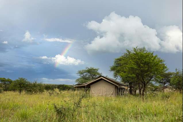 Serengeti wilderness camp  1