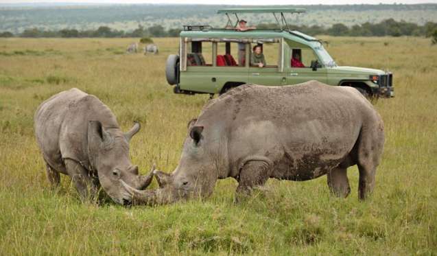 Ol Pejeta Big 5 Safari Kenya - rhinos