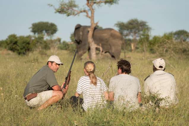 Walking safari Greater Kruger