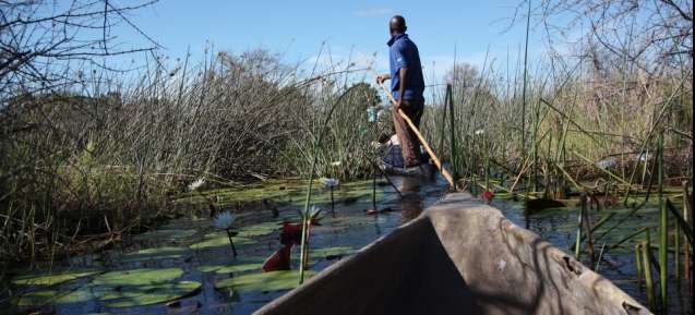 okavango delta mokoro