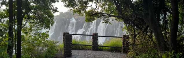 Victoria Falls rainforest