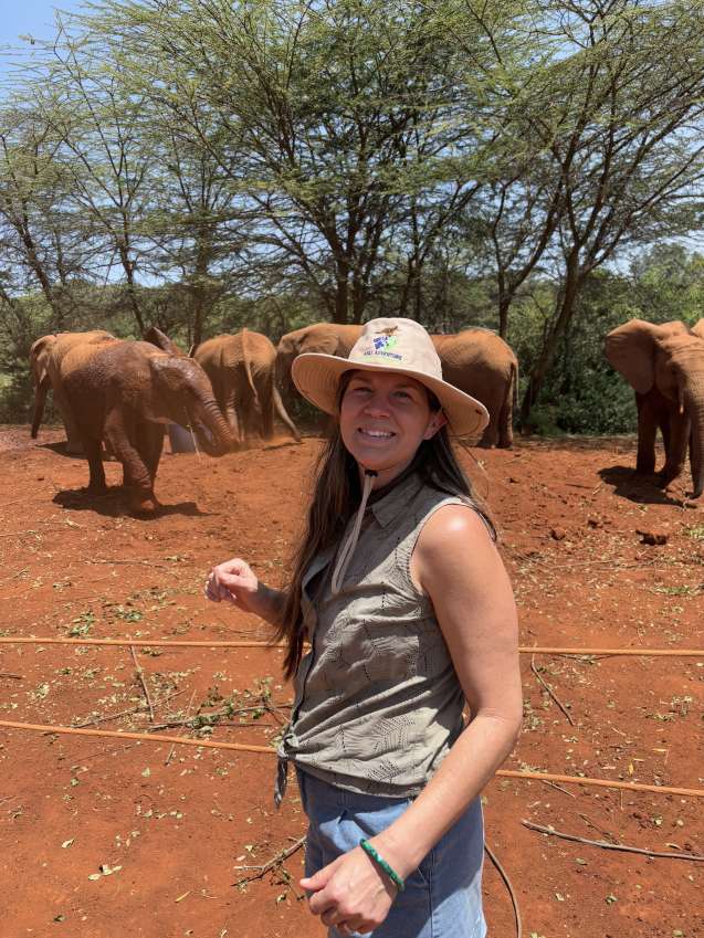 Sheldrick elephant orphanage