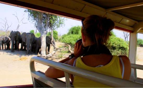 14 Frequently Asked Questions (FAQs) About African Safari Activities