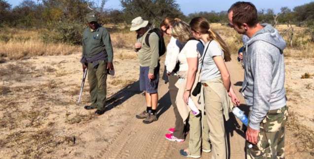 walking safari