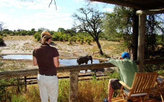 Complete Africa Safari Planning Guide: Essential Tips for 2026