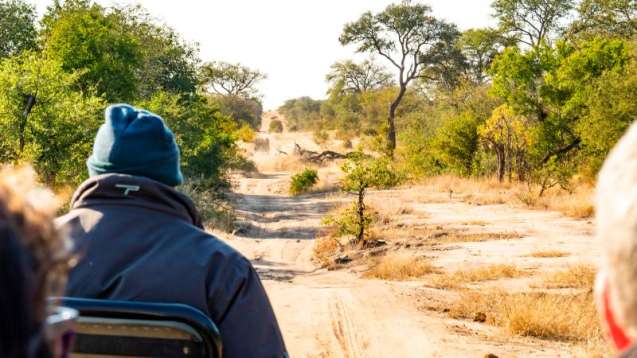 game viewing