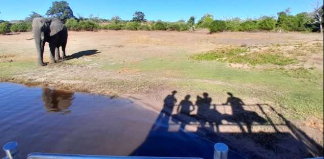 chobe boat safari