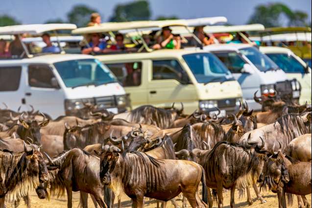 Great migration safari peak season Masai Mara