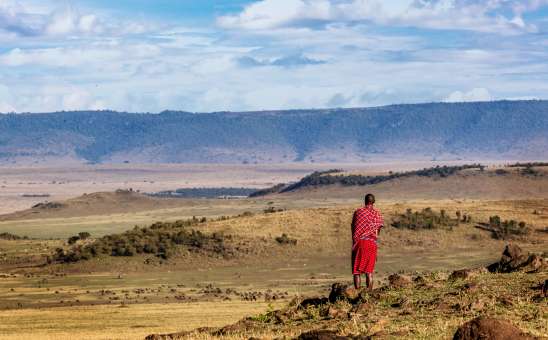 Kenya budget safari