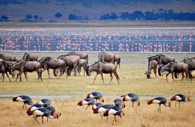 Ngorongoro crater, Tanzania