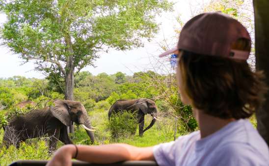 Inside Guide to Solo Travel in South Africa