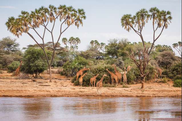 Samburu riverfront