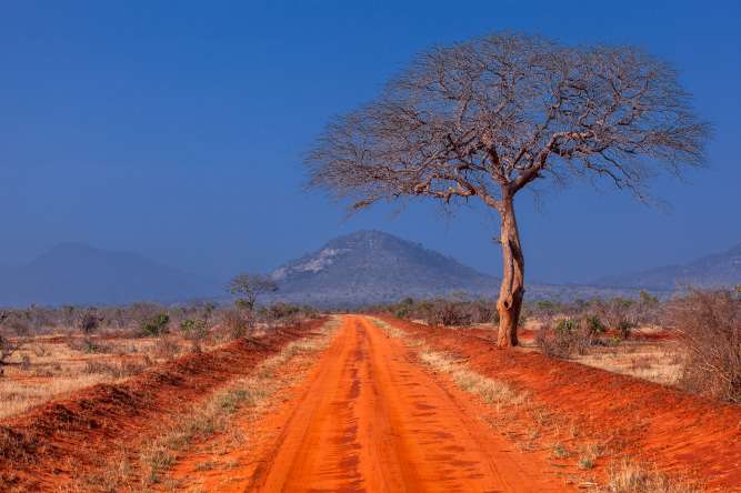 Tsavo National Park Kenya