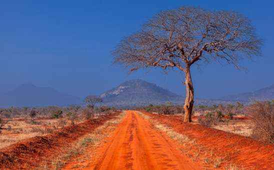 Tsavo West National Park: The Kenyan Safari You Didnt Know You Needed