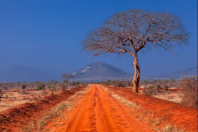 Tsavo National Park Kenya