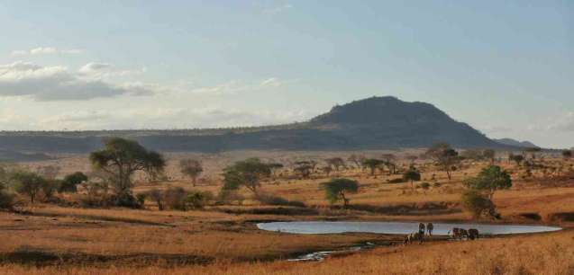 Tsavo west waterhole