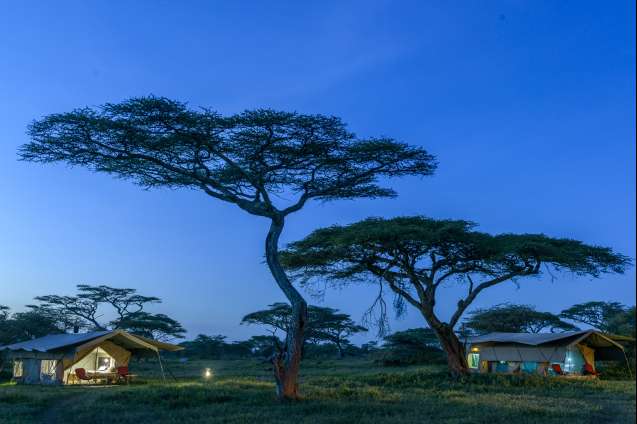 Ndutu wilderness camp - evening - rlaharpe