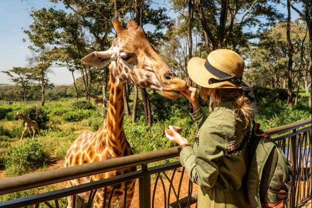 Kenya safari